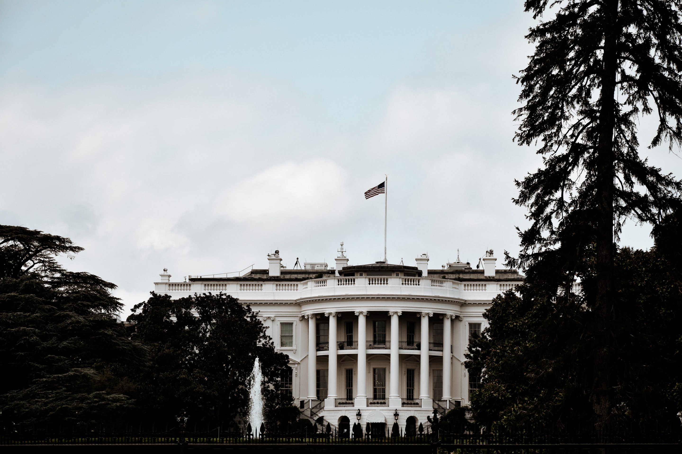 White House building, framed by trees with a moody, gray sky behind