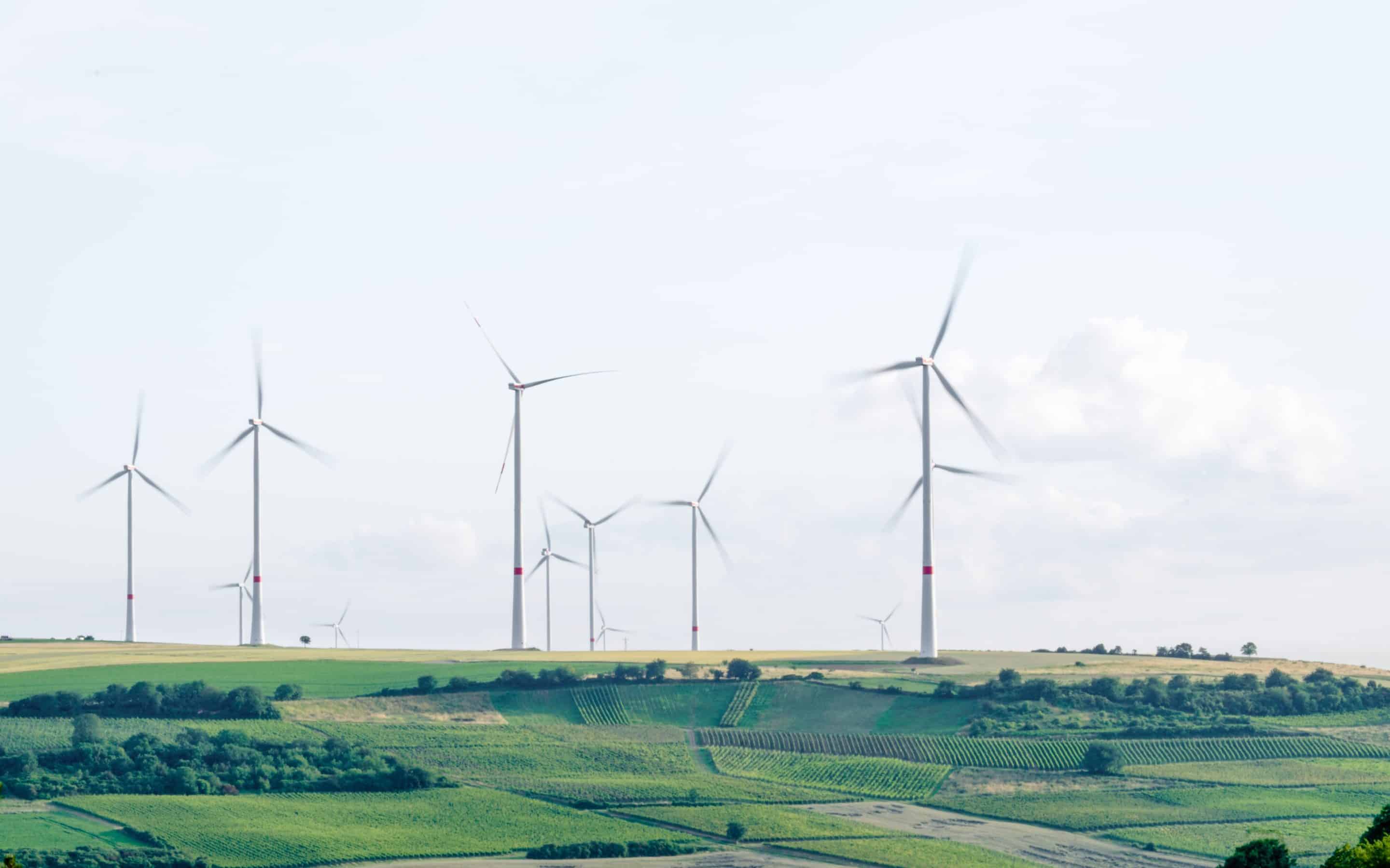 windmills populate a green field