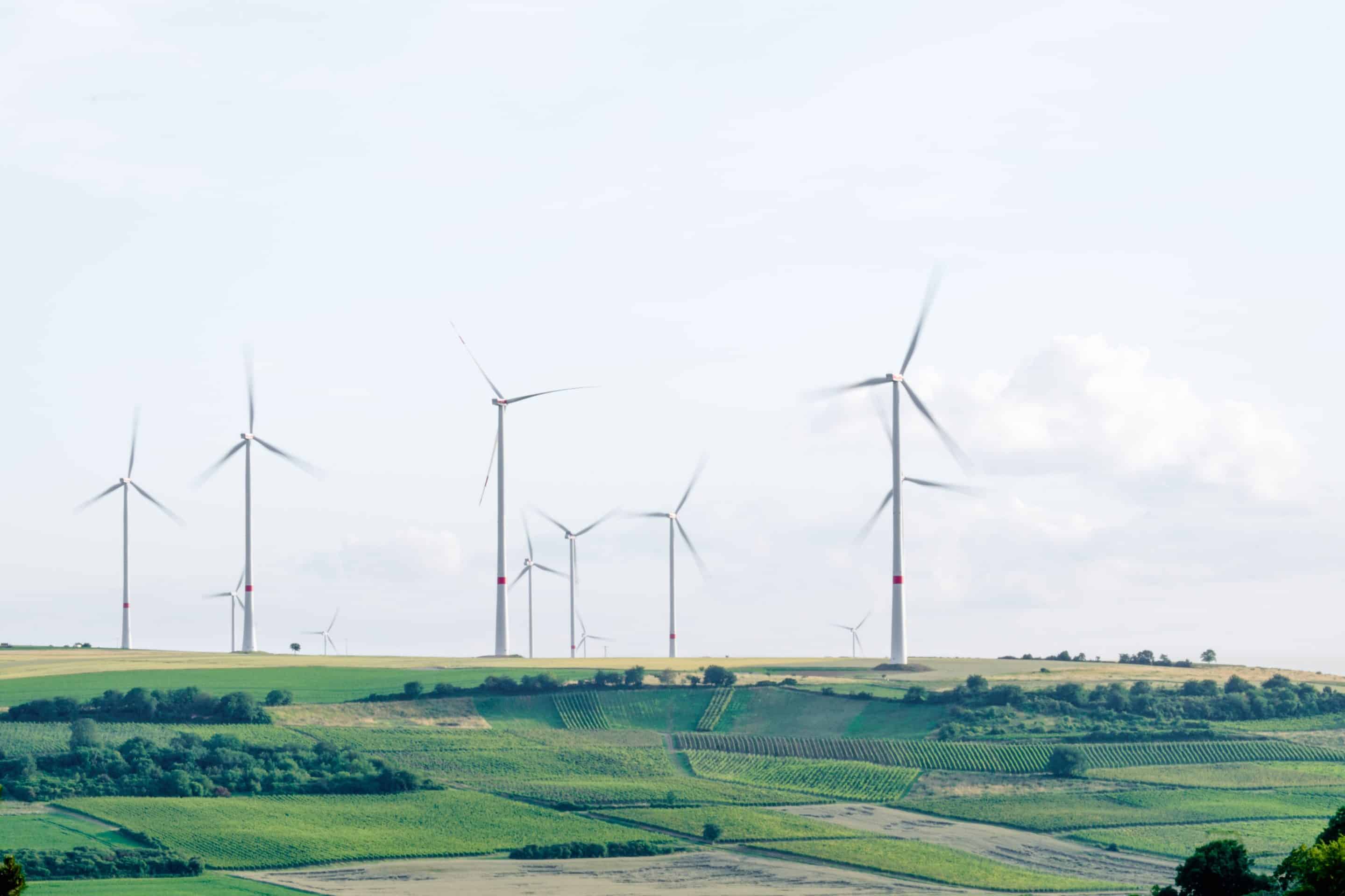 windmills populate a green field