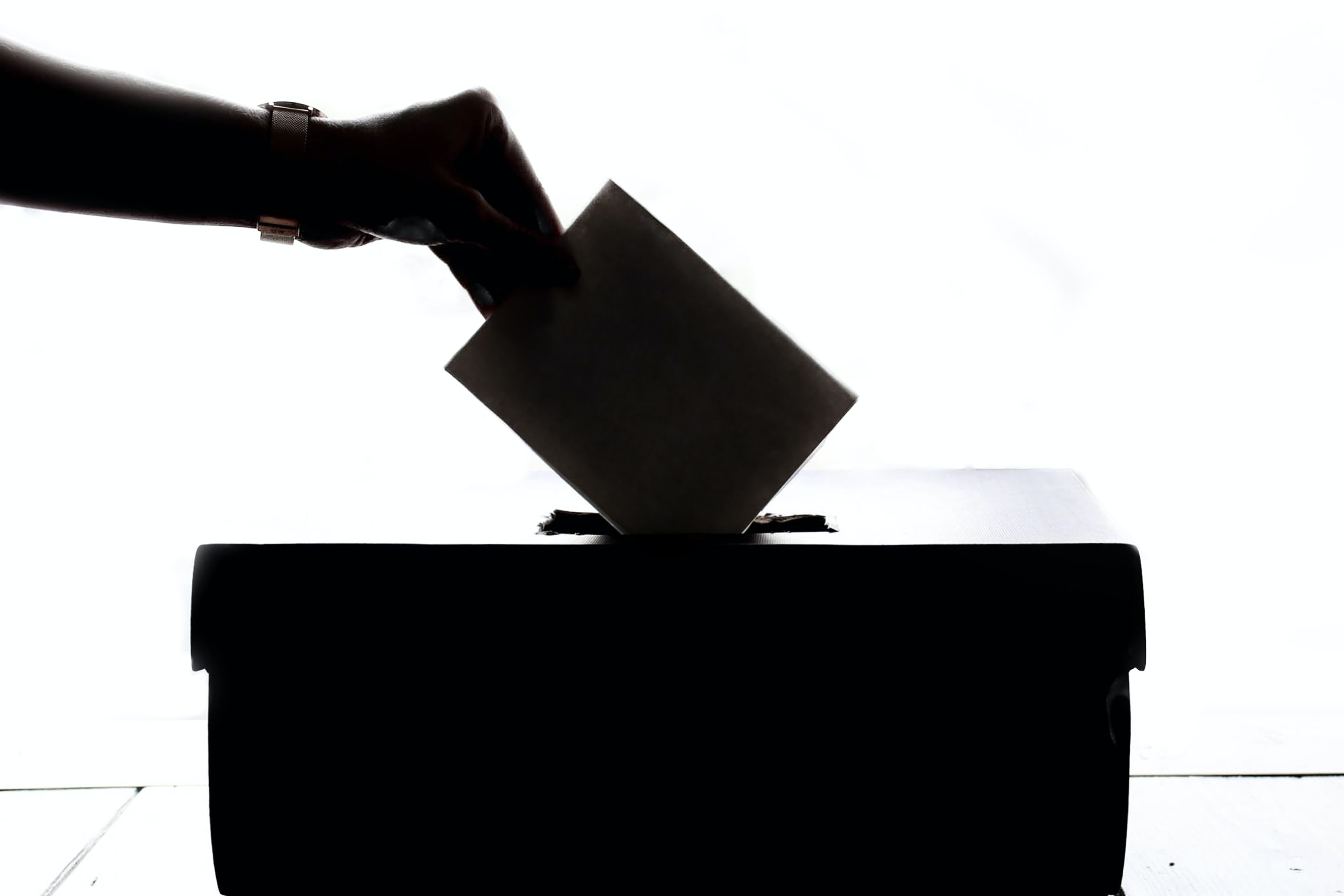 Silhouette of hand casting ballot